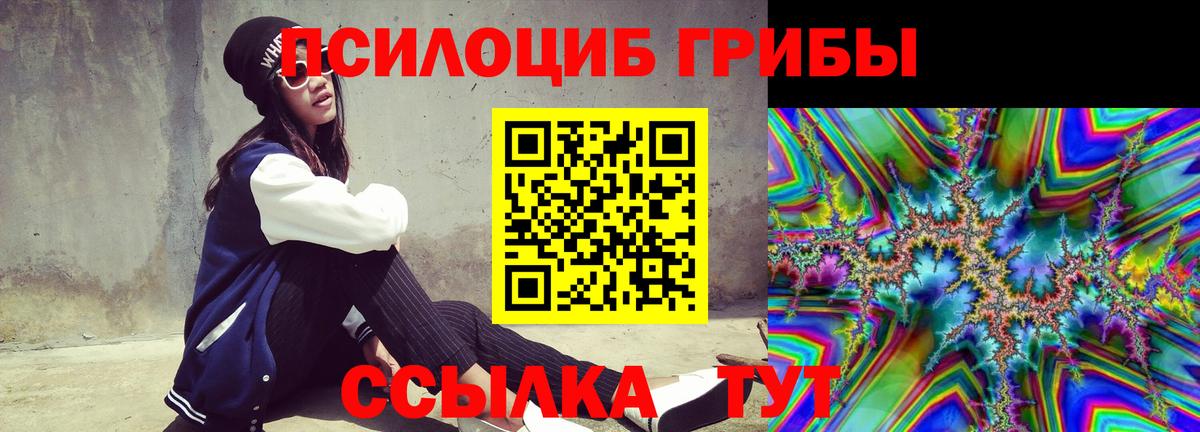 Калуга  Галлюциногенные грибы MAGIC MUSHROOMS  где можно купить   Вход с VPN 